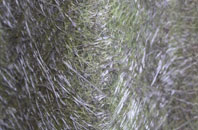 Nuncargate fibreglass roof work